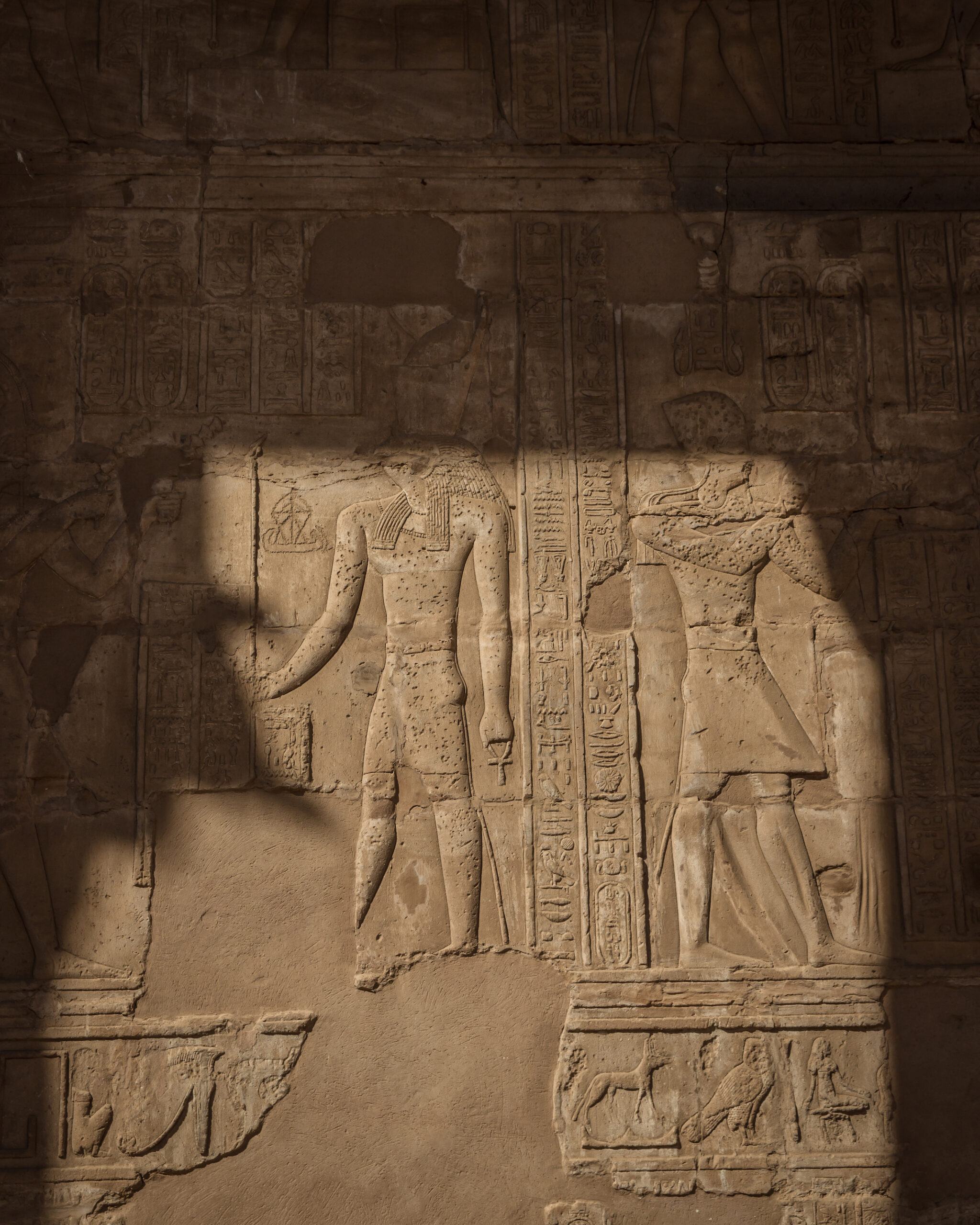 AD Nile Cruises 